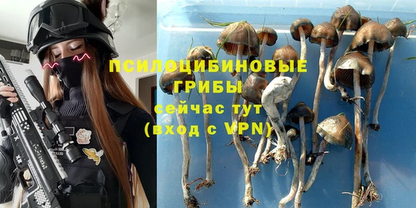 дмт Пересвет