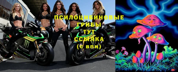 mdpv Переславль-Залесский