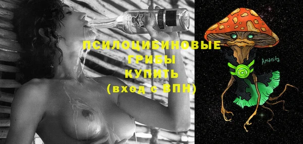 дмт Пересвет