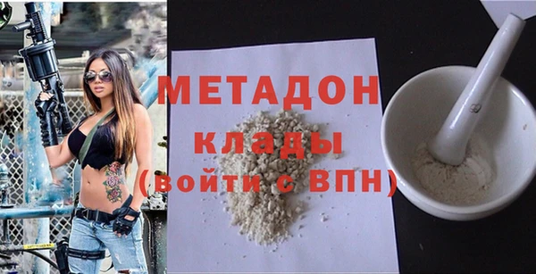 дмт Пересвет
