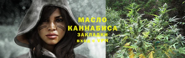 дмт Пересвет