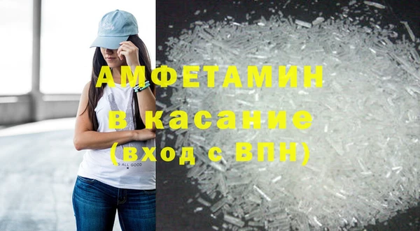дмт Пересвет