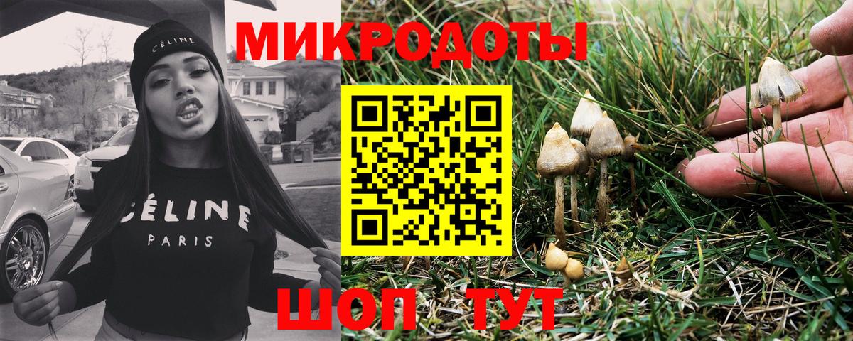 Галлюциногенные грибы прущие грибы Братск